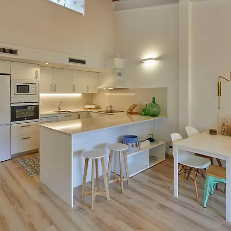 Duplex Rei Marti 公寓